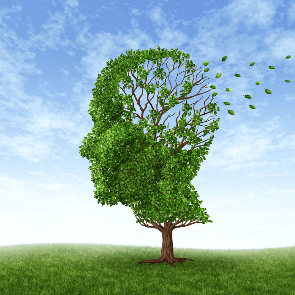 Baum verliert Blätter im Wind auf Wiese.